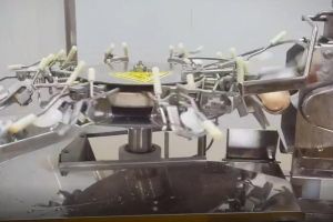 湖南最大航空食品生产基地引进 X 光食品检测机