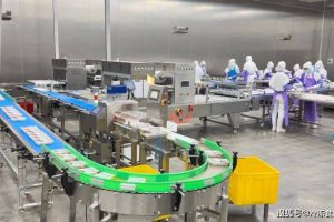 食品X光机是预制菜生产环节中的重要安全保障