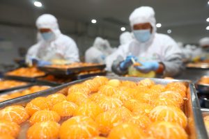 天然之选,安全之盾 | 赋能果蔬加工无损检测新纪元